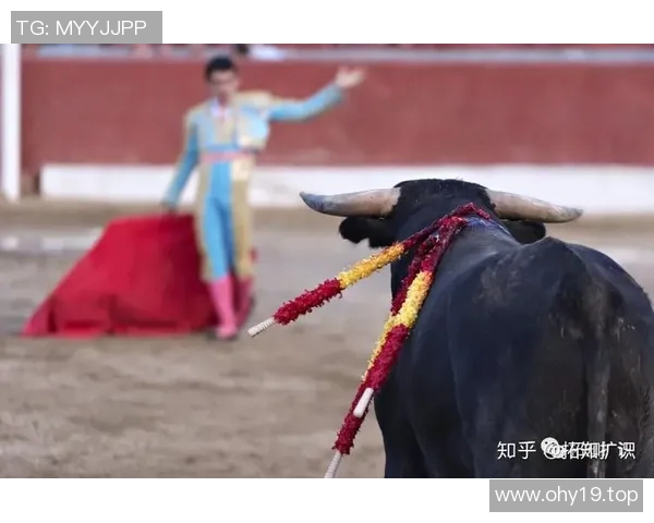 揭秘你不知道的公牛冷知识 十大惊人事实大揭秘 揭秘你不知道的公牛冷知识 十大惊人事实大揭秘